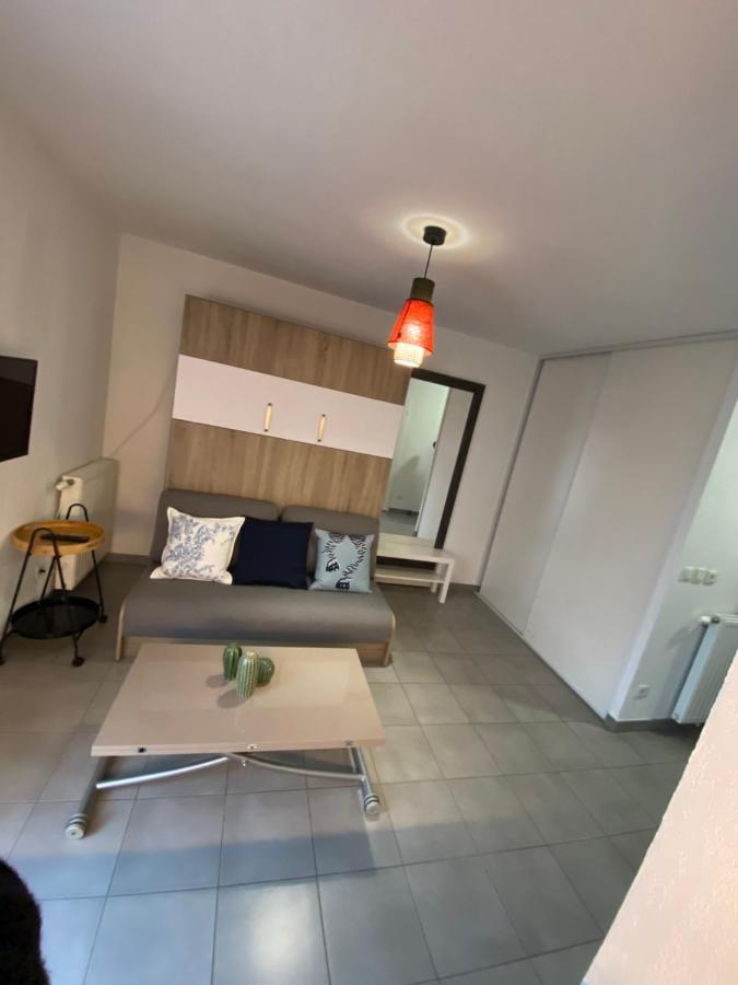 Studio Chic Little Boheme Proche Hopitaux, 15 Mn Du Centre Lyon Eksteriør billede